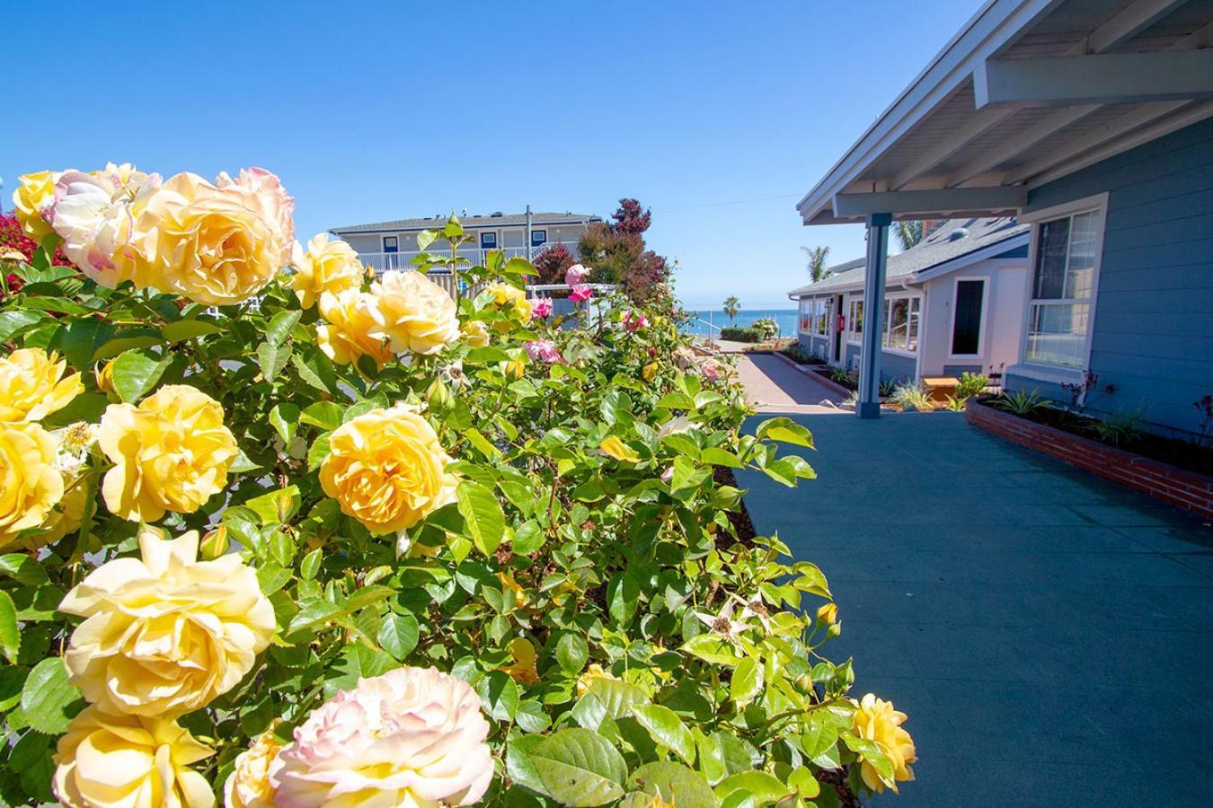 Edgewater Beach Inn Санта-Крус Экстерьер фото